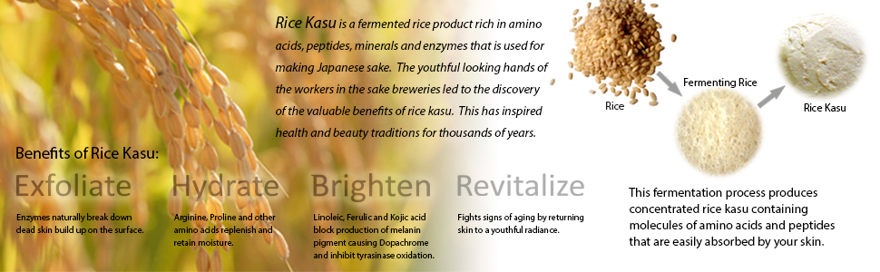 Kasu Banner