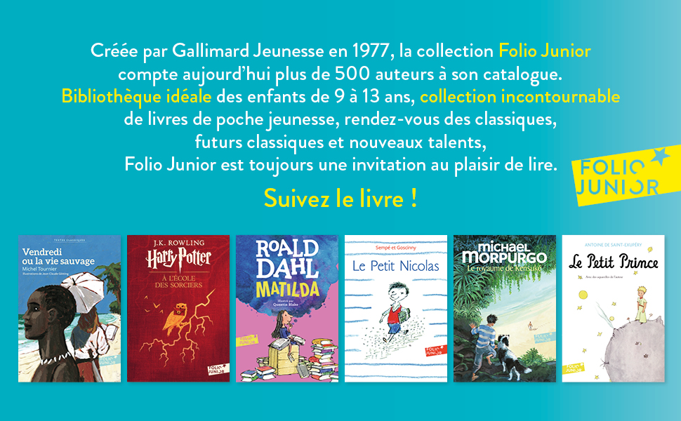Résumé Du Livre Le Journal D'adèle Amazon.fr - Le journal d'Adèle - Folio Junior - A partir de 11 ans