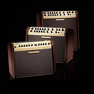 Fishman Rare Earth BLEND 箱付き 高額買取実施中!!】FISHMAN ピックアップ アコギ用 Rare Earth