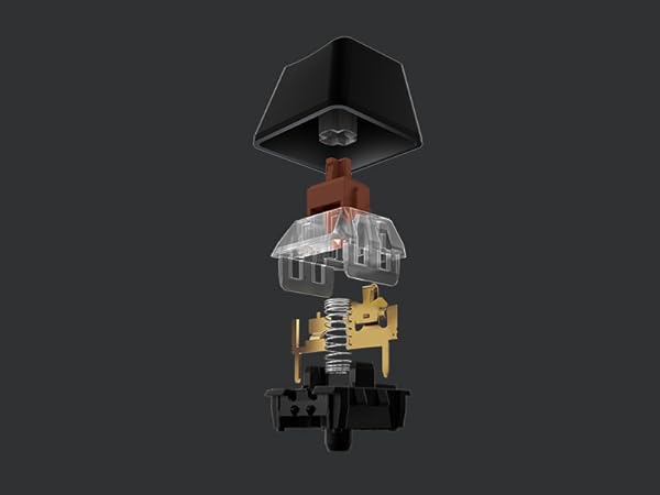 G513