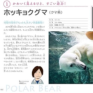 動物圖2 絶滅した奇妙な動物 2: 2 : Satoshi Kawasaki: Amazon.sg: Books