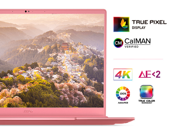 Amazon.com: MSI Prestige 14 A10SC-231 14
