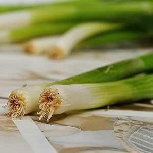 Small manufacture image 9