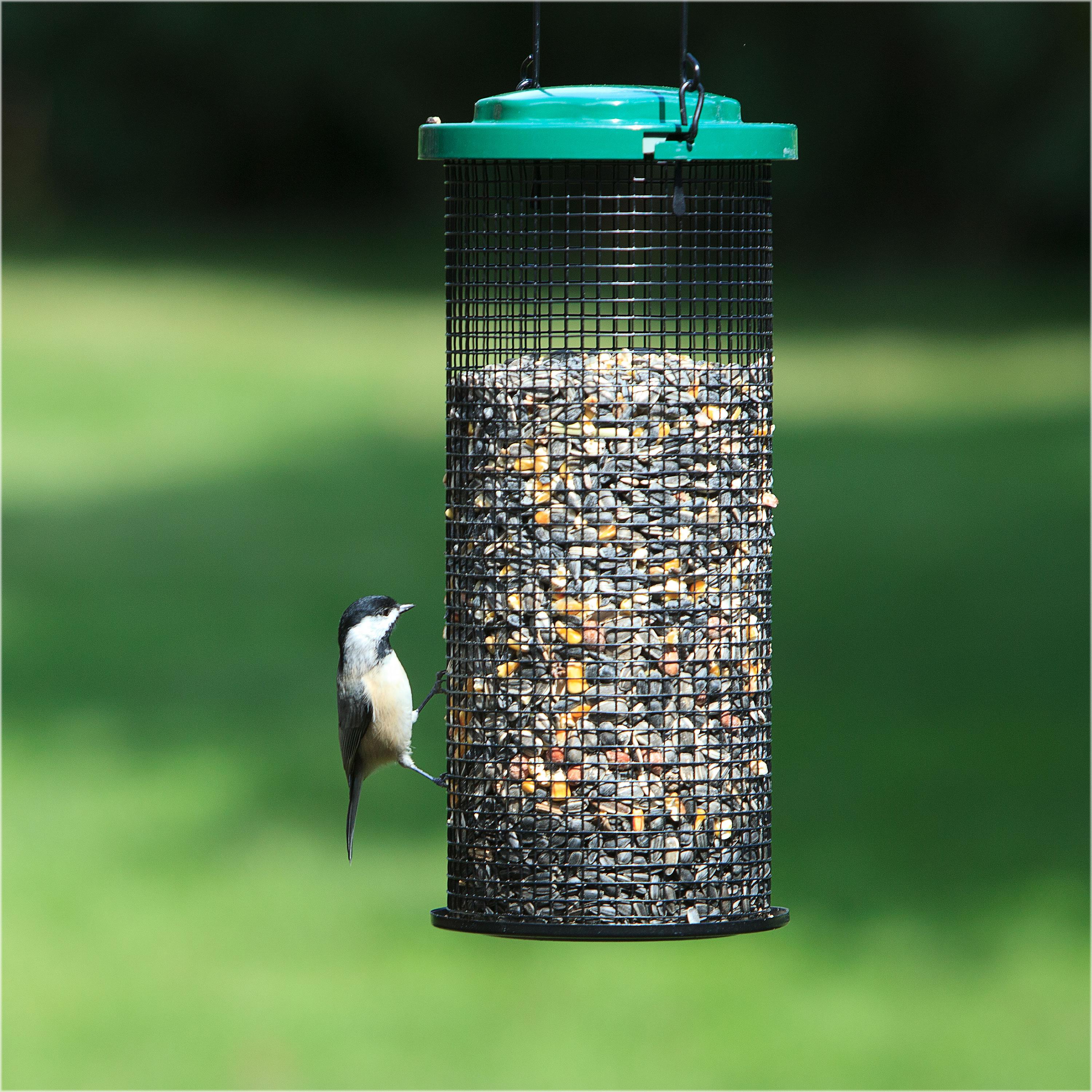 PerkyPet 116 Sunflower Mesh Bird Feeder Garden & Outdoor