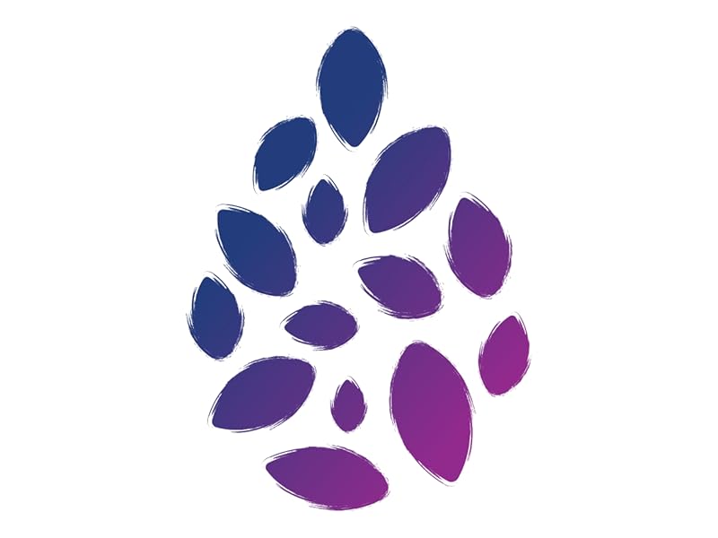 Illustration of black cumin seeds.