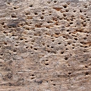 Small manufacture image 7