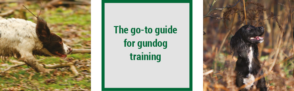 janet menzies, working spaniel, dog training, gundog training
