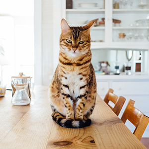 Small manufacture image 7