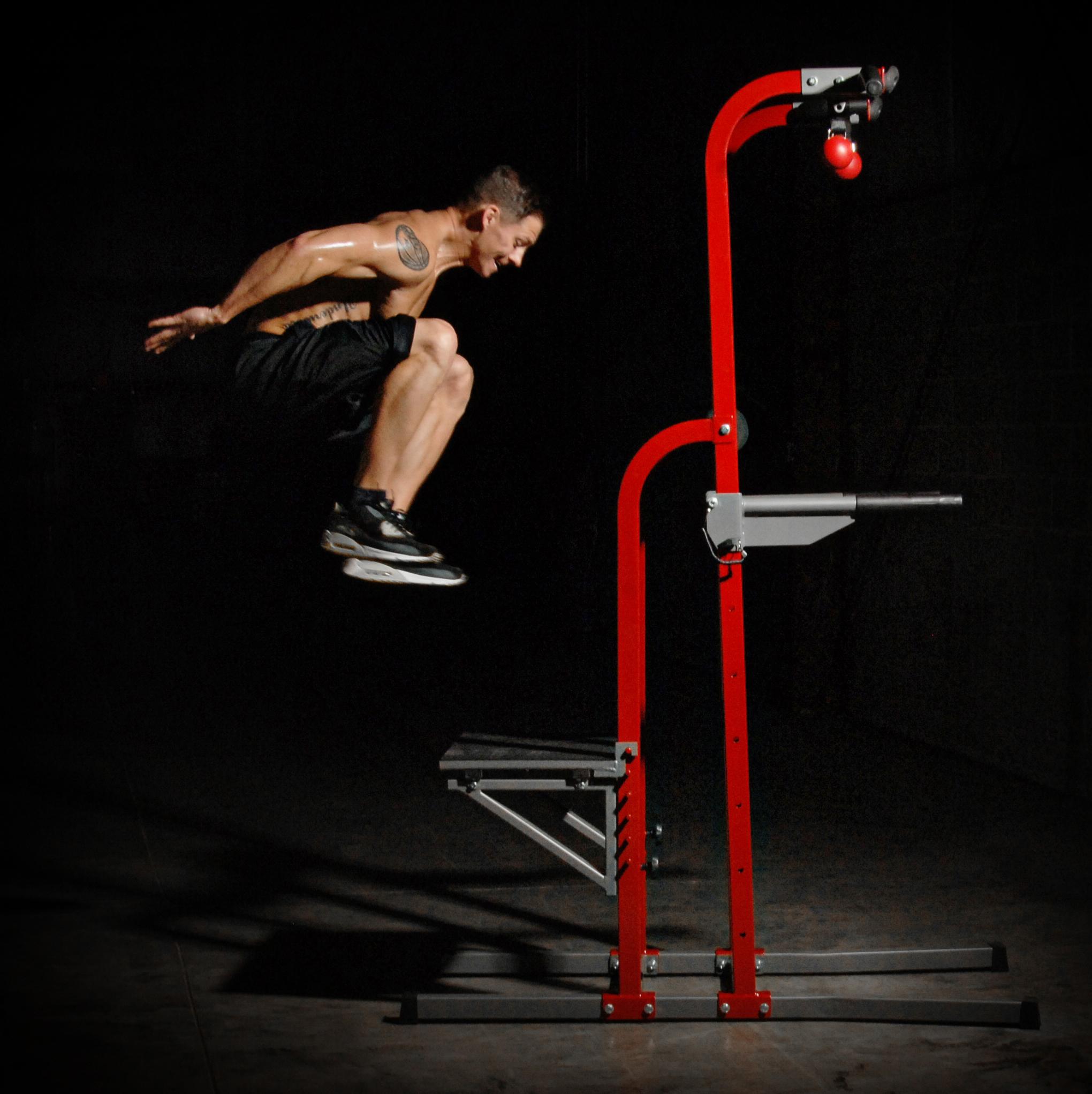 Stamina X Fortress Power Tower, Home Gyms Amazon Canada