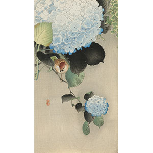 2007年】版画芸術 No.135 小原古邨／小林かいち特集 阿部出版 51cq6DFzYTL._AC_SY200_QL15_.jpg