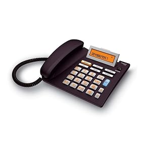 Brazzers porno etuk katta dumba