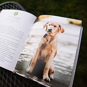 books about dogs stay stay with me stay with me book a dogs way home grace of dogs dog grief lessons