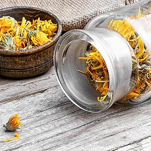 Stock botanical herbs photo