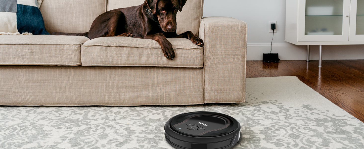 pet hair pickup, pet vacuum, pet vacuum cleaner, pet hair vacuum, pet hair vacuum cleaner