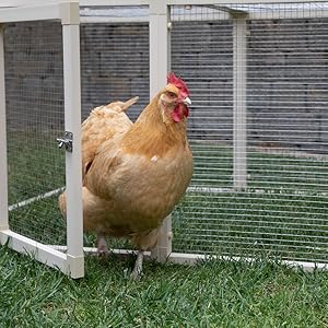 Small manufacture image 8