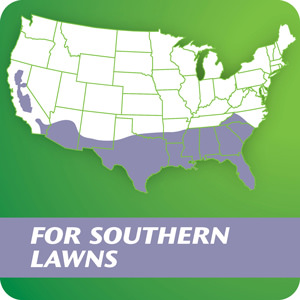 zenith zoysia grass seed 50 lb bag