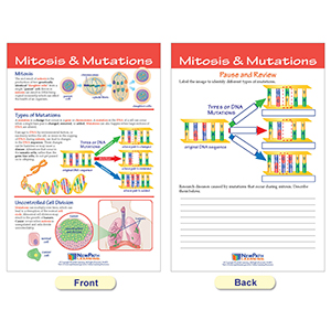 Small manufacture image 6