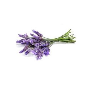 Lavanda Sabonete Limpeza Higiene Natural Vegano Boni Natural Perfume Limpa Hidrattante antissepetico