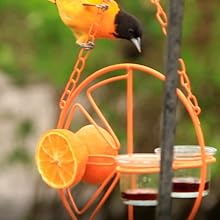 Heath Clementine Double Cup Oriole Feeder 12 CF-144, oriole feeder, bird feeder, jelly jar feeder, orange feeder, backyard birds, heath