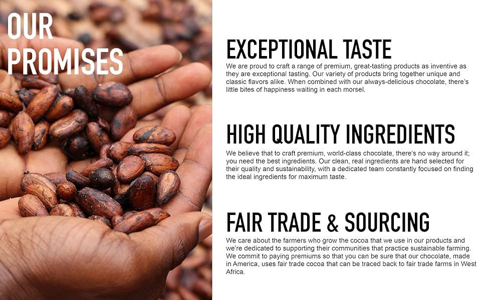 Endangered Species Chocolate Oat Milk Sea Salt Almonds Dark Cocoa Vegan Gluten Free Candy Bar Kosher