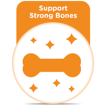 Support Strong Bones