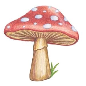 Small manufacture image 1