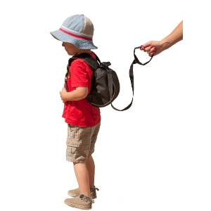 jolly jumper cart cover