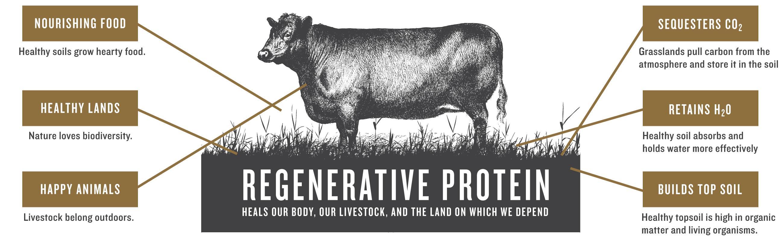 Epic Artisanal Pork Rinds, Sea Salt & Pepper, 2.5 ounce, 4