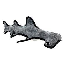 tuffy hammerhead shark