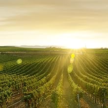 organic pure food natural value affordable responsible