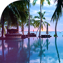 Glade Tropical Blossoms