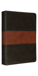 ESV Personal Reference Bible Deep Brown/Tan, Trail Design