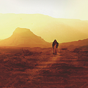 Walking with God in the Desert Discovery Guide with DVD