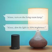 Connect your smart light bulb with Alexa App