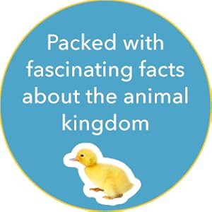 その他 Sticker Encyclopedia: Baby Animals (Dk Sticker Encyclopedia) Sticker Encyclopedia Baby Animals: More Than 600 Stickers