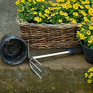 old farmer's almanac