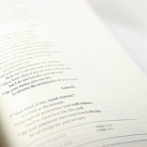 catholic journaling bible