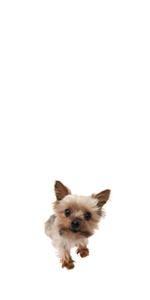 b4829ee5 2683 420a abbb 13b442dfd538. SR150,300