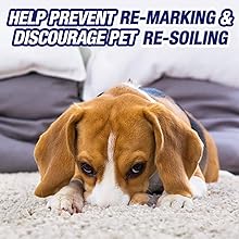 RESOLVE PET CARPET - ULTRA Stain & Odor Remover 