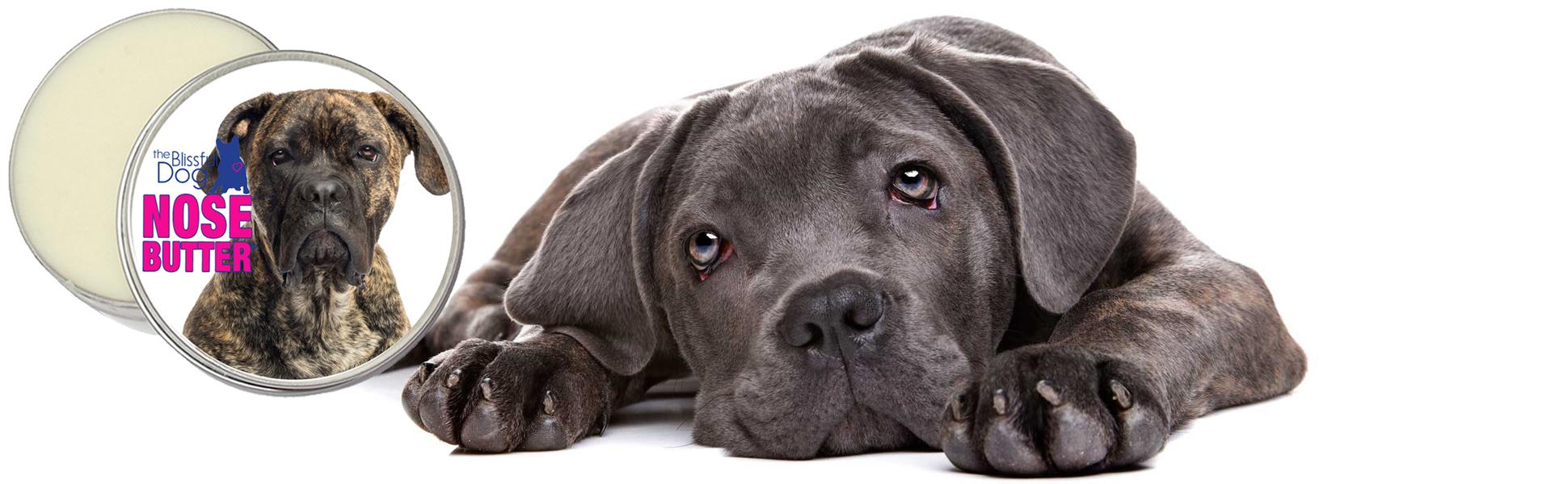 The Blissful Dog Fila Brasilerio Nose Butter