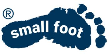 small foot wooden toys record