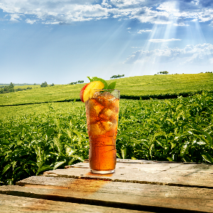 Lipton Ice Tea