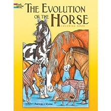 Download Horse Anatomy (Dover Nature Coloring Book): John Green: 0800759448135: Amazon.com: Books