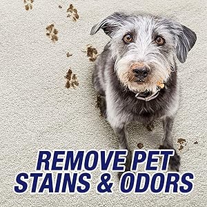 RESOLVE PET CARPET - ULTRA Stain & Odor Remover 