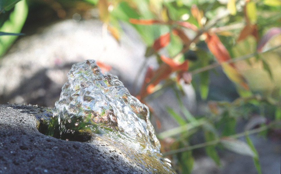 Sll Water Feature FountainEffectively Removes Algae and limestone