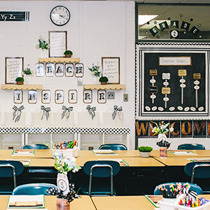 Amazon.com: Schoolgirl Style Industrial Chic Collection