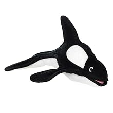 tuffy whale