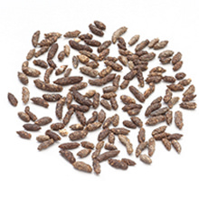 Small manufacture image 6