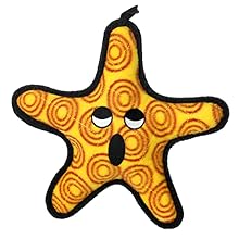tuffy starfish