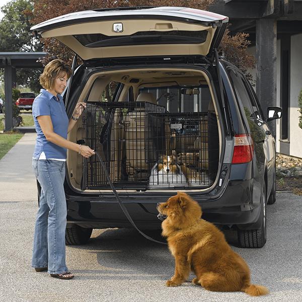 Solution Series Double Door Folding Metal Dog Crate for